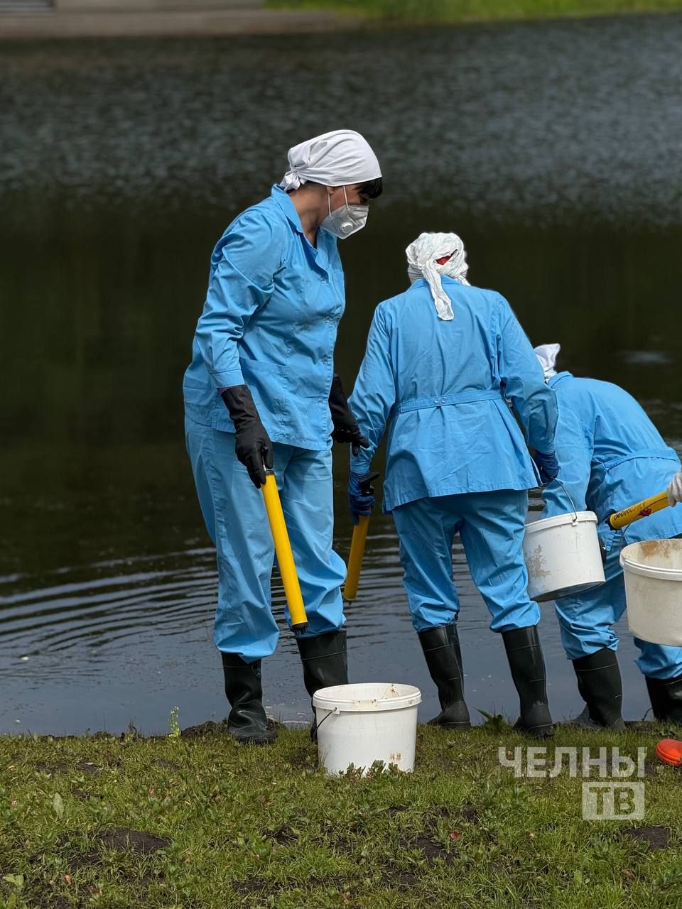 В Челнах озеро Лесное обработали от малярийных комаров