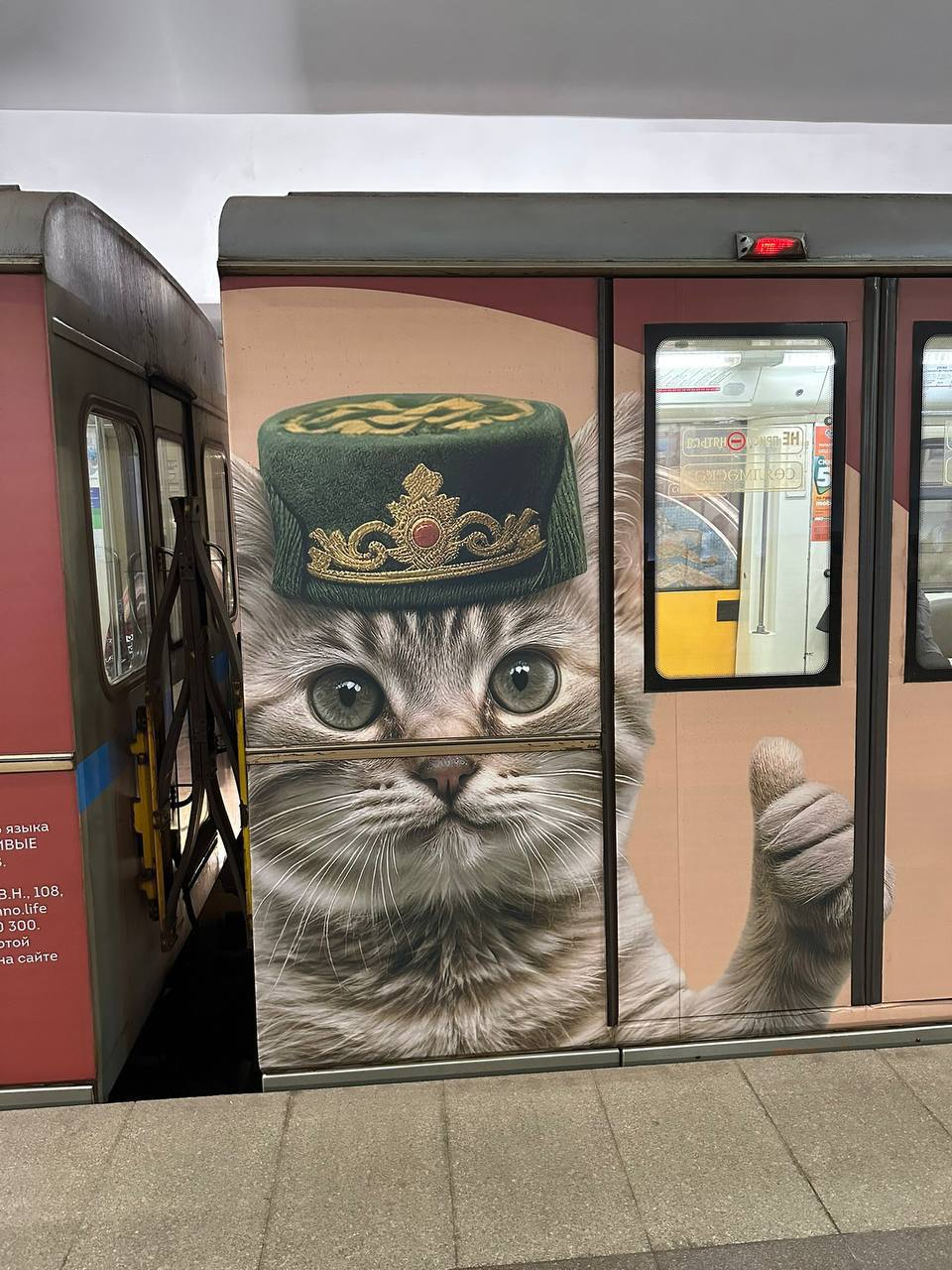 В метро Казани запустили поезда с котами в тюбетейках на вагонах