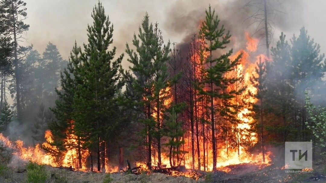Пожары в Южной Европе: эвакуация тысяч туристов и разруха из-за жары