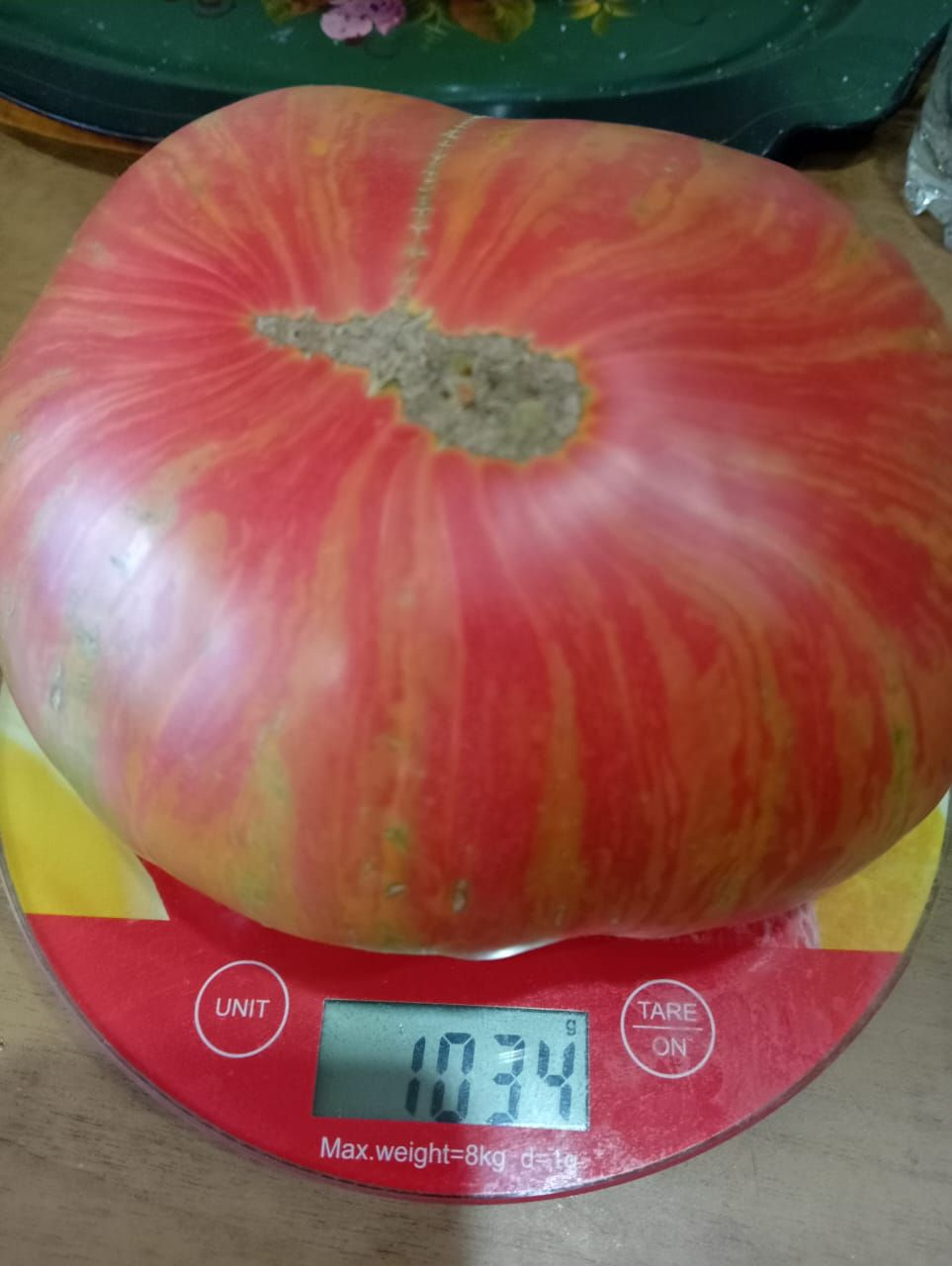 Челнинка вырастила томат-рекордсмен весом более килограмма