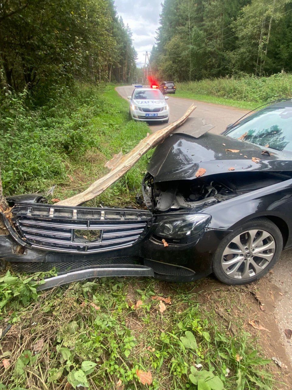 В Нижнекамске водитель Mercedes врезался в дерево и получил травмы