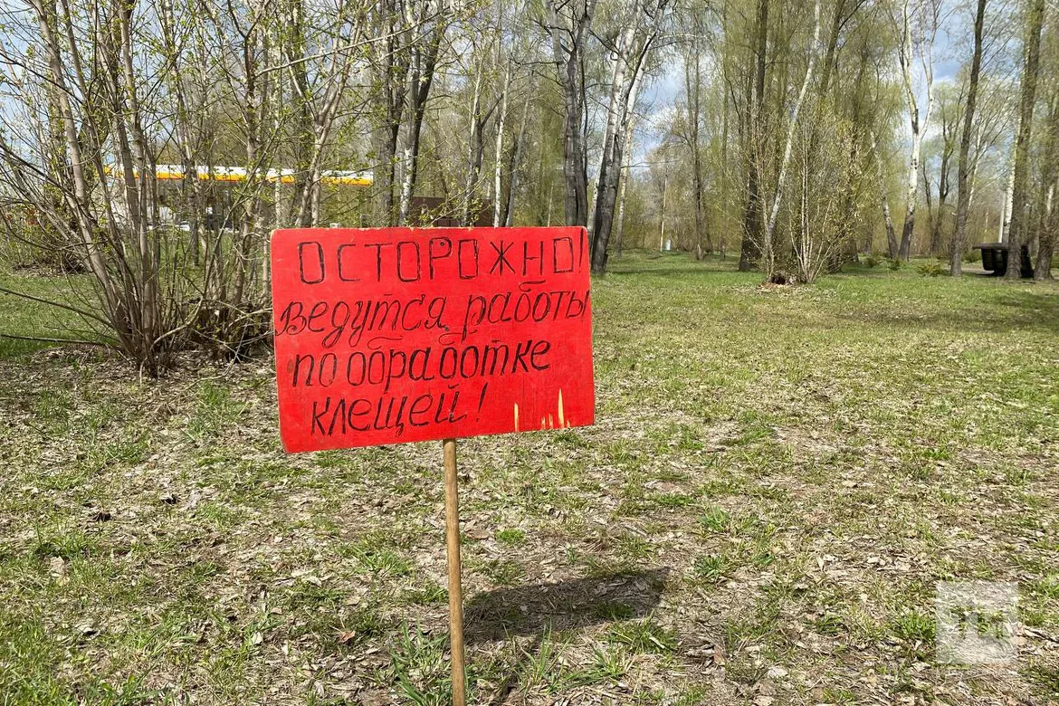 В Татарстане зафиксировано более 12 тысяч обращений из-за укусов клещей