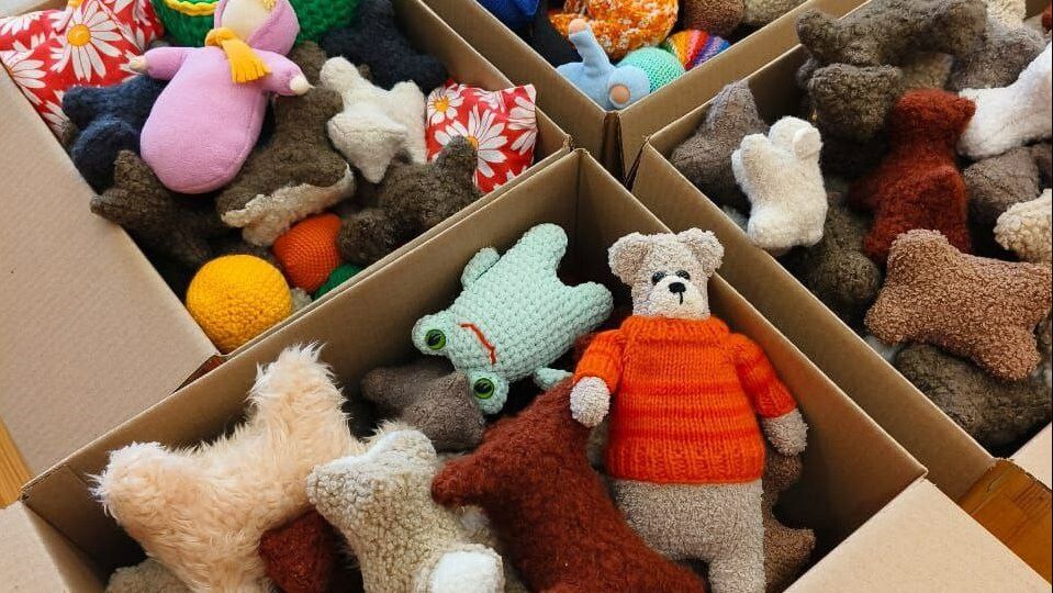В Госдуму внесён законопроект о психолого-педагогической экспертизе игрушек