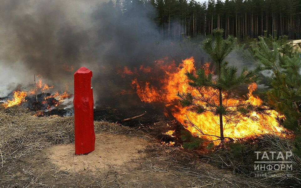 Штормовое предупреждение: в Татарстане сохраняется высокая пожароопасность