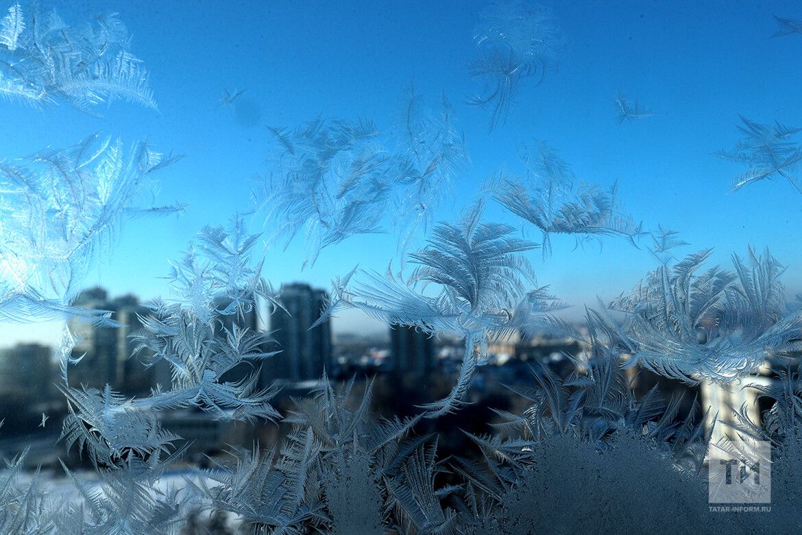 В Татарстане ожидаются заморозки до −8°C ночью и утром 30 сентября