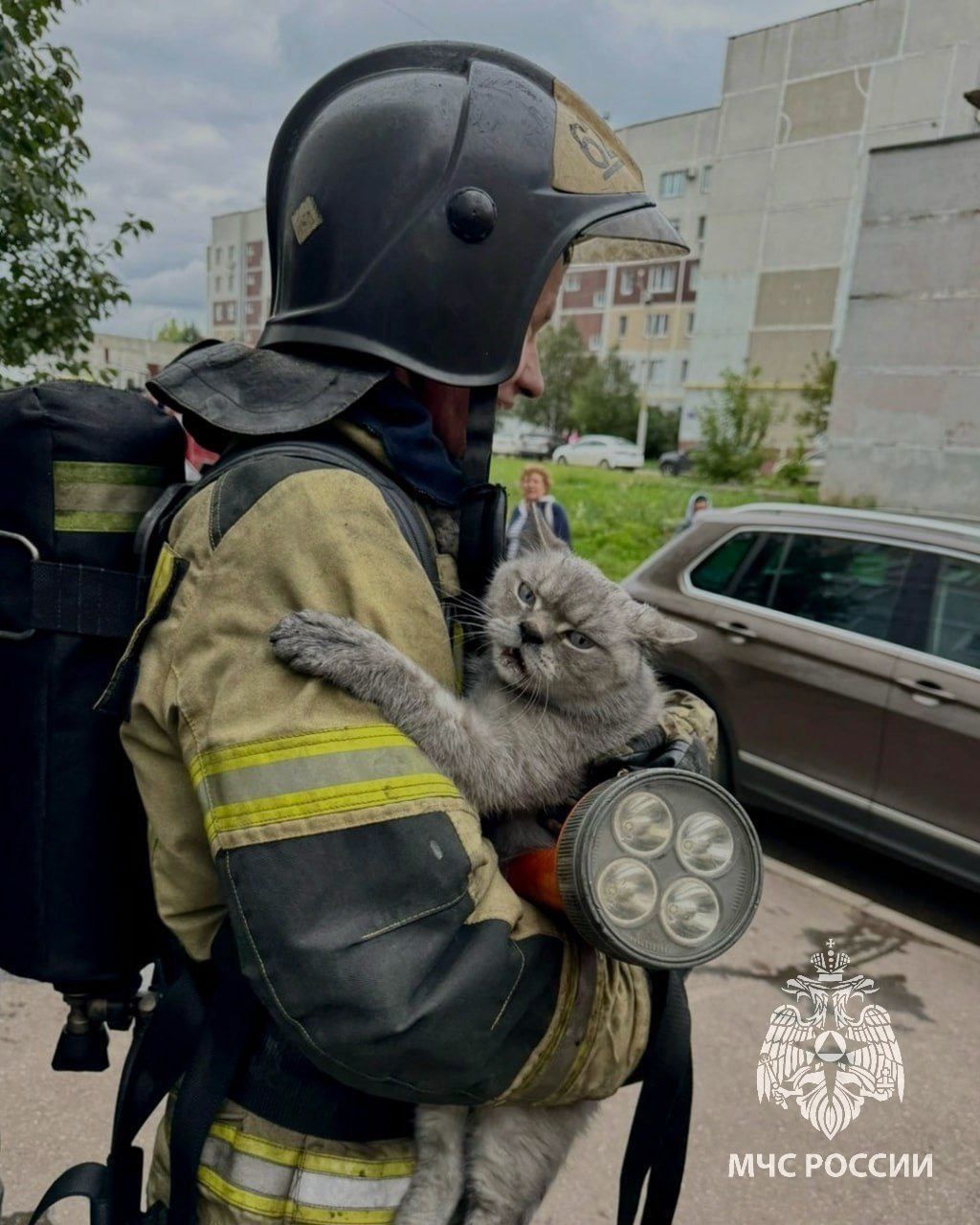 В Нижнекамске пожарные спасли кота из горящей квартиры