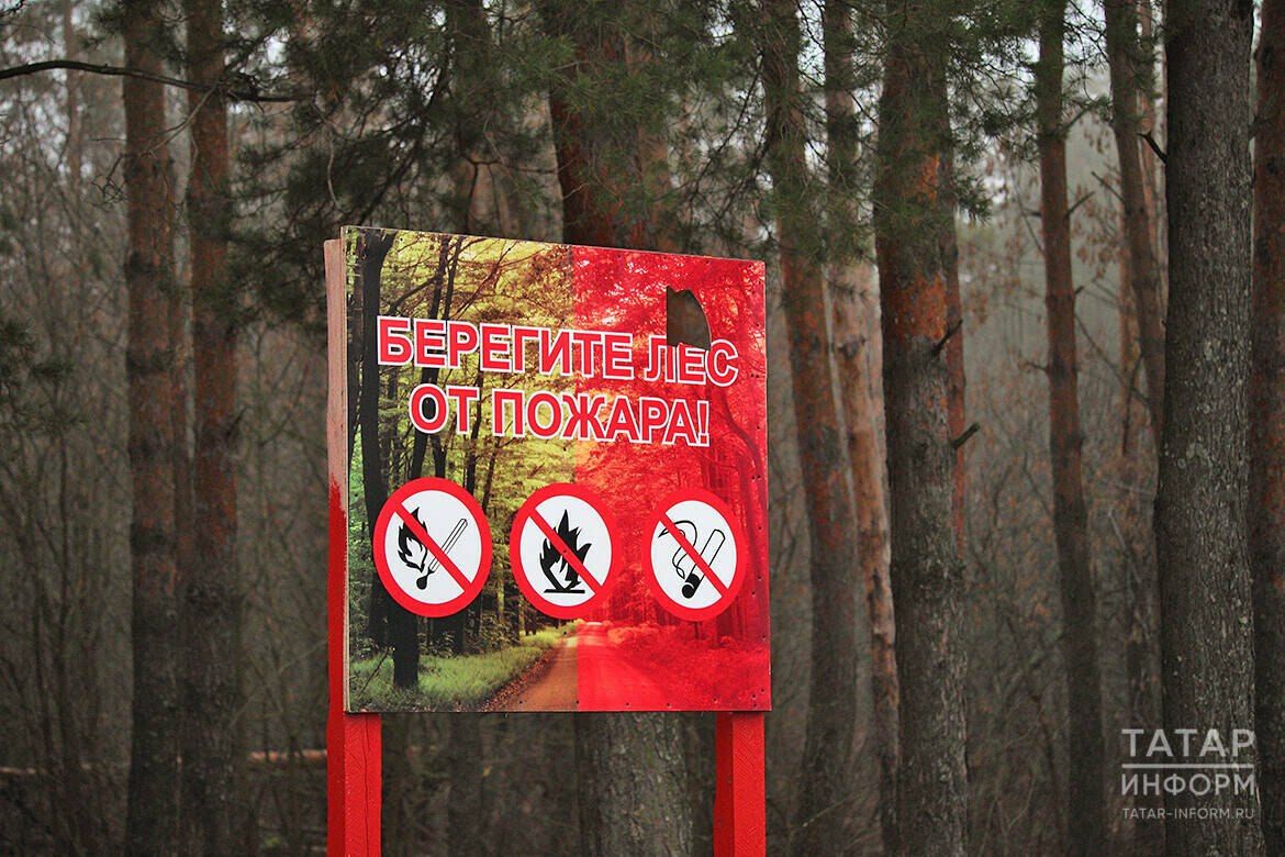 В Татарстане объявлено штормовое предупреждение из-за высокой пожароопасности