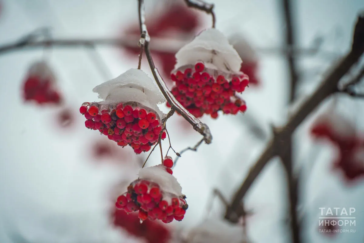 Прогноз погоды в Набережных Челнах на 13 января