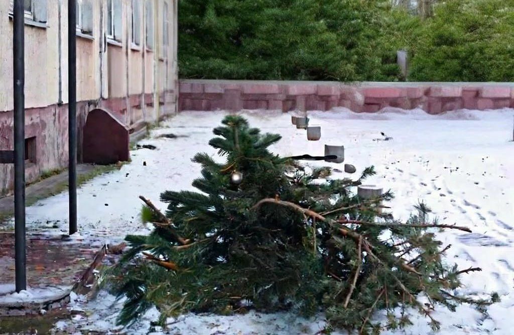 Куда в Челнах сдать отслужившую ёлку