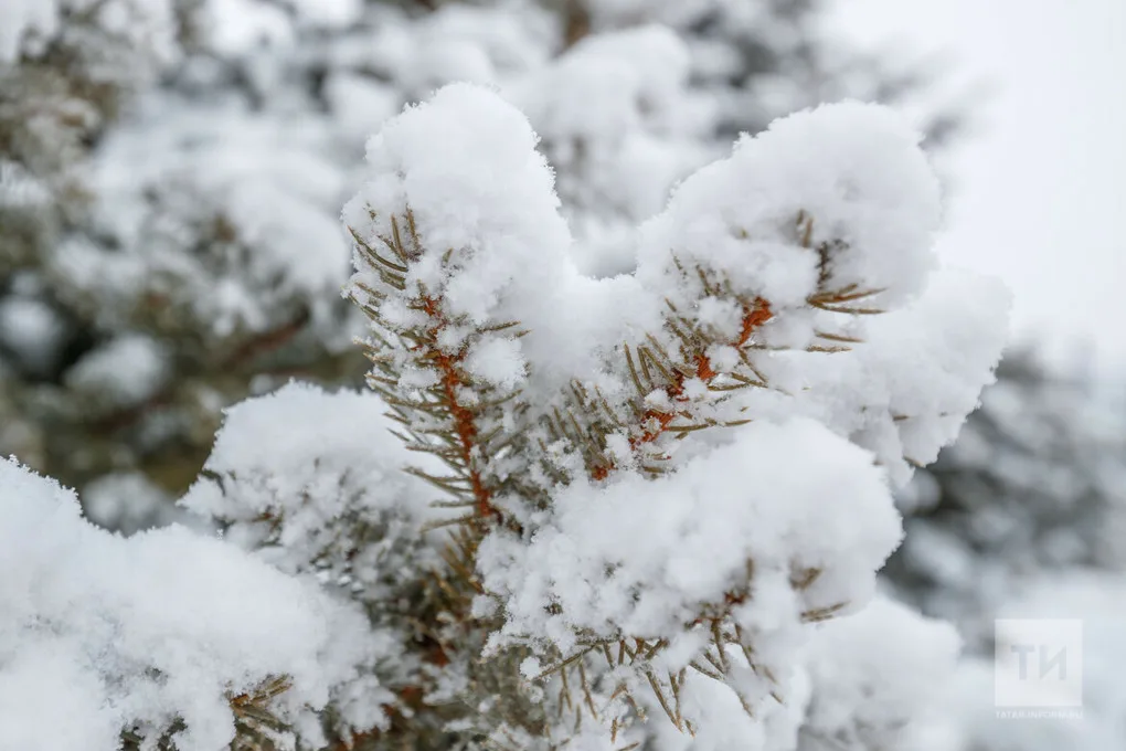 Прогноз погоды в Набережных Челнах на 20 января