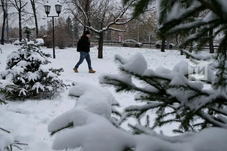 Прогноз погоды в Челнах на 26 января: морозы немного ослабнут