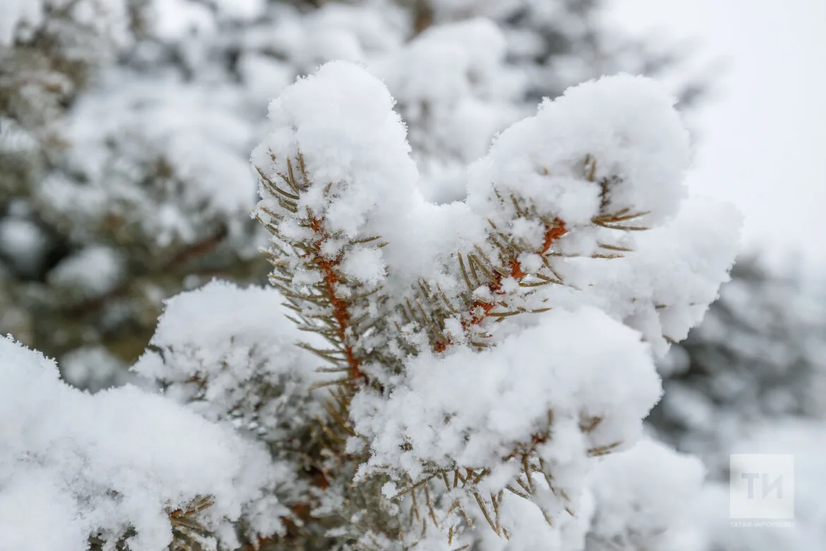 Прогноз погоды в Набережных Челнах на 27 января