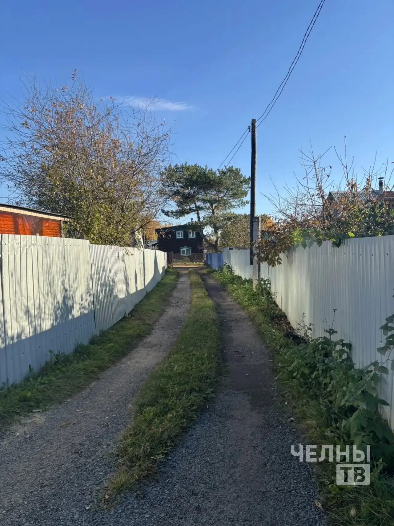 Дачники Челнов обеспокоены сообщениями о медведе в районе СНТ
