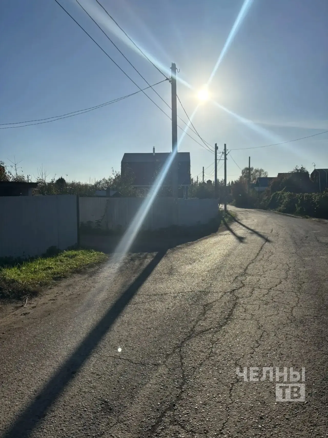 Дачники Челнов обеспокоены сообщениями о медведе в районе СНТ