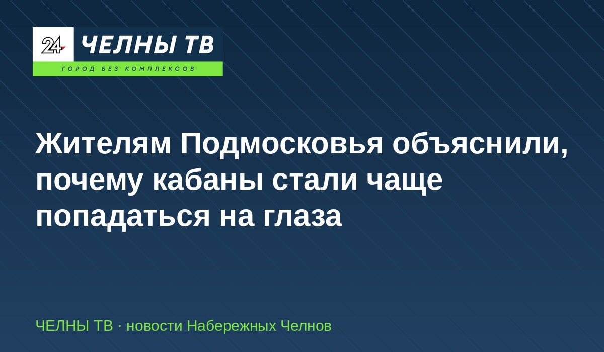 Жителям Подмосковья объяснили, почему кабаны стали чаще попадаться на глаза
