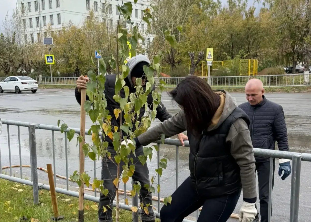 В Челнах на улице Батенчука высадили 67 берез