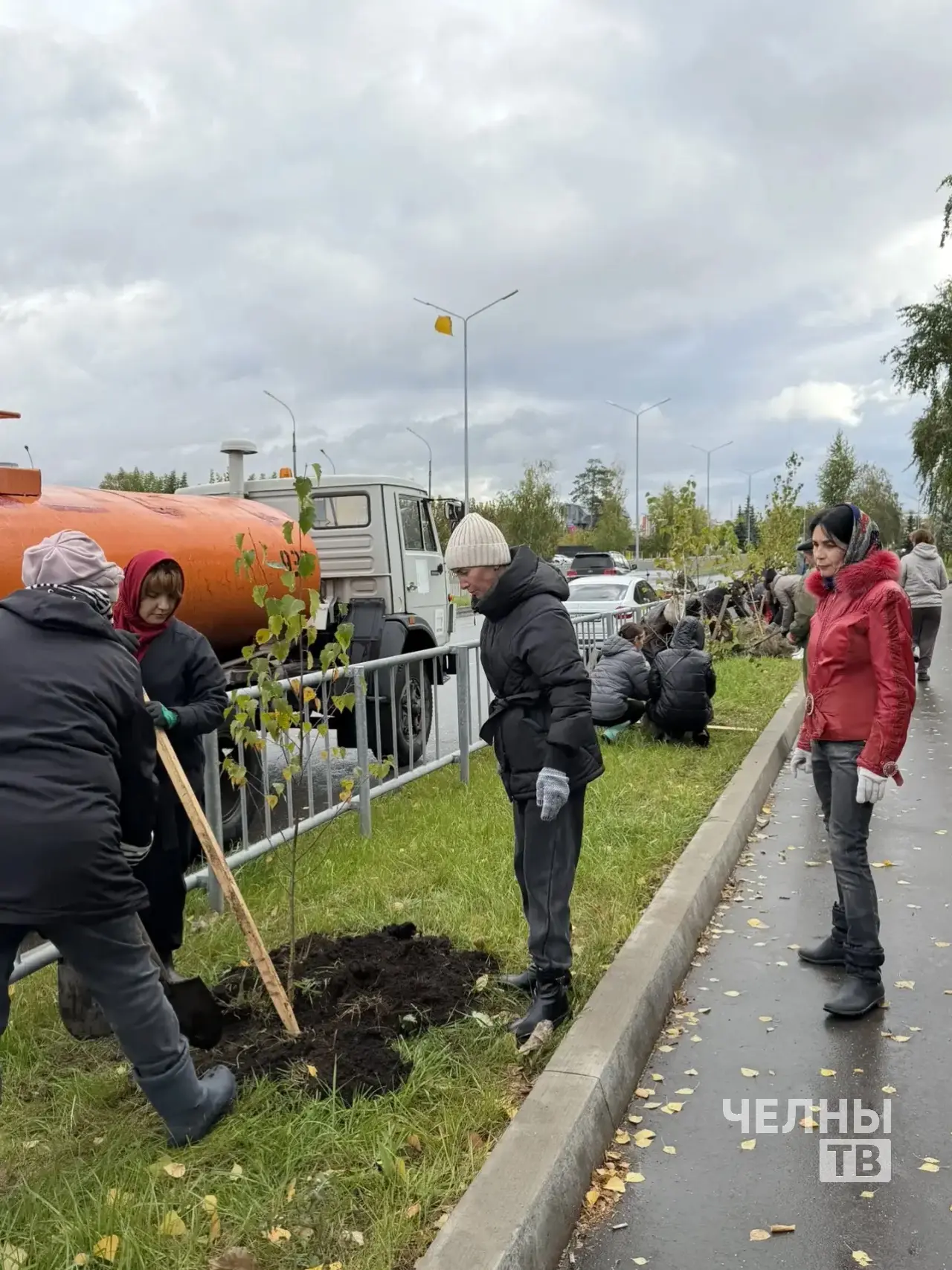 В Челнах на улице Батенчука высадили 67 берез