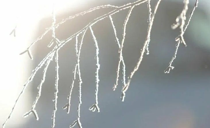 Прогноз погоды в Набережных Челнах на 15 февраля