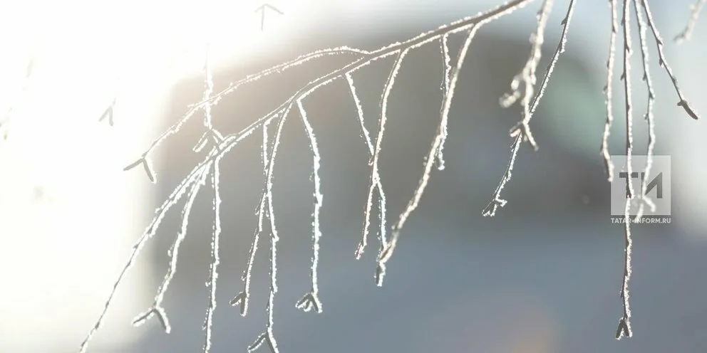 Прогноз погоды в Набережных Челнах на 15 февраля