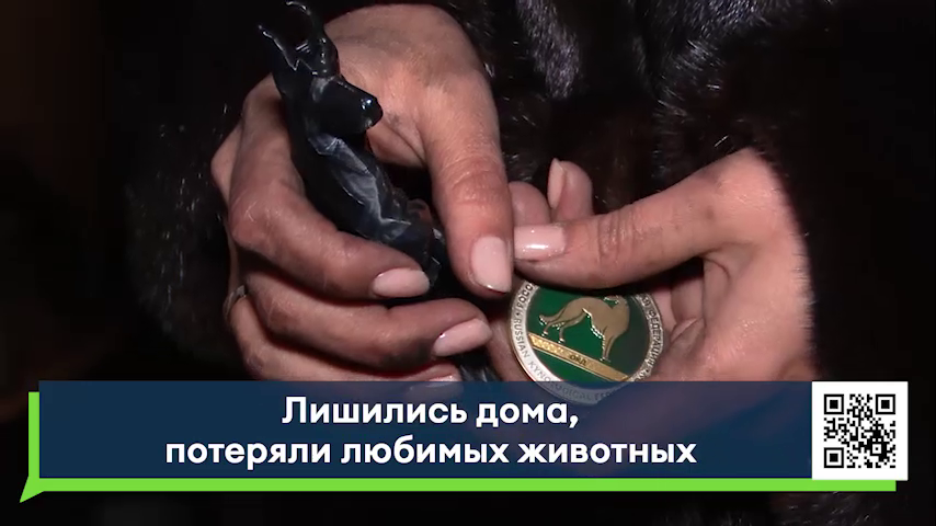 Дом ведущей «Новостей» сгорел дотла, погибли четыре собаки