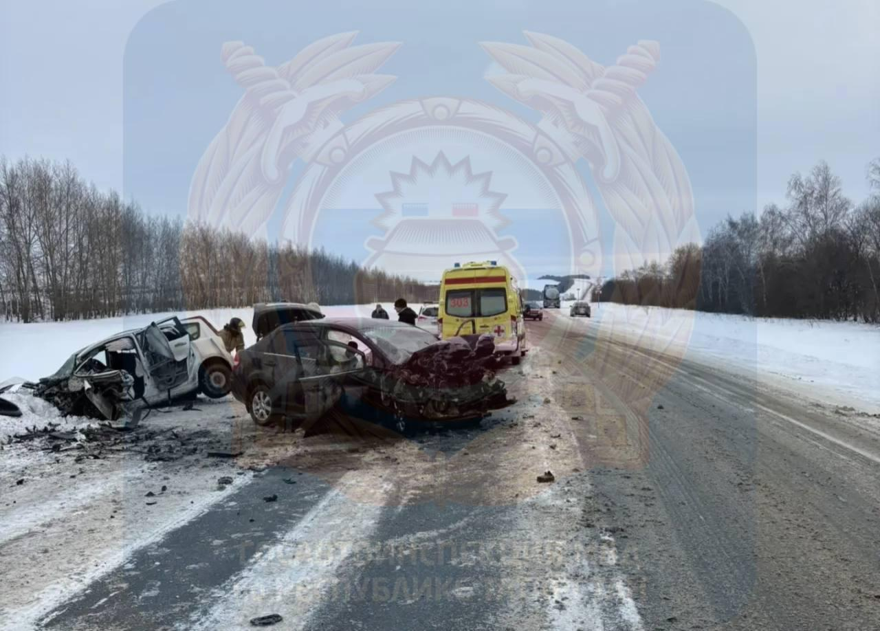 В Татарстане в ДТП на встречной полосе погибли водители двух иномарок