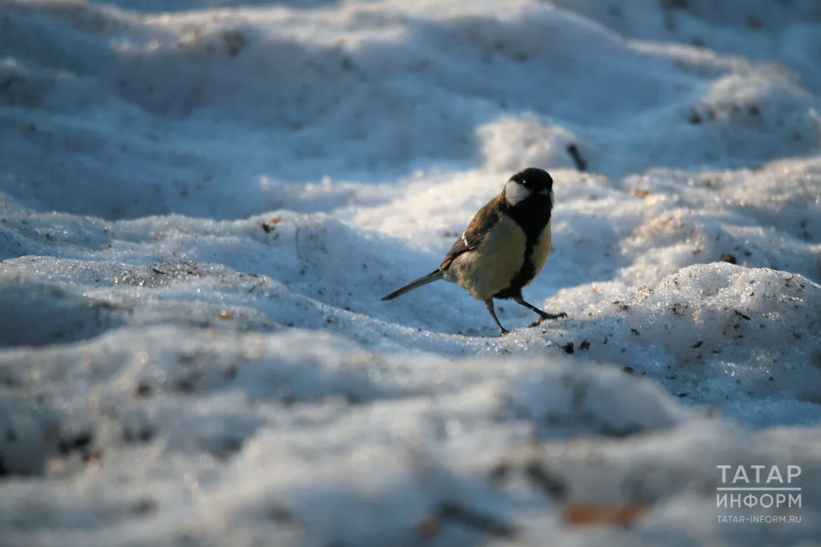 Прогноз погоды в Набережных Челнах на 11 марта