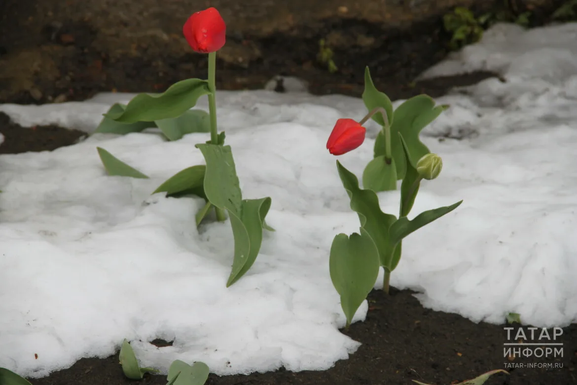 Прогноз погоды в Набережных Челнах на 14 марта