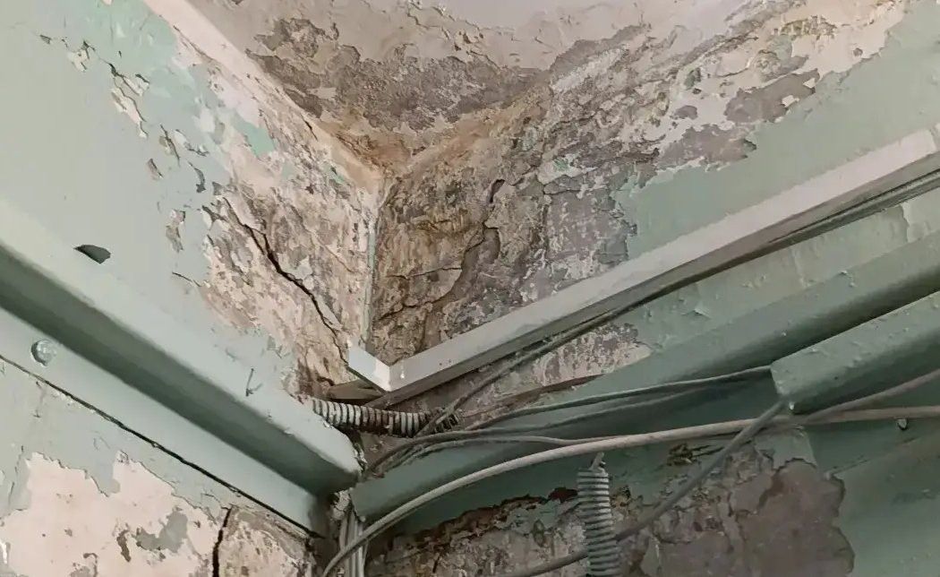 Жители Нового города жалуются на протекающую кровлю и плесень в доме