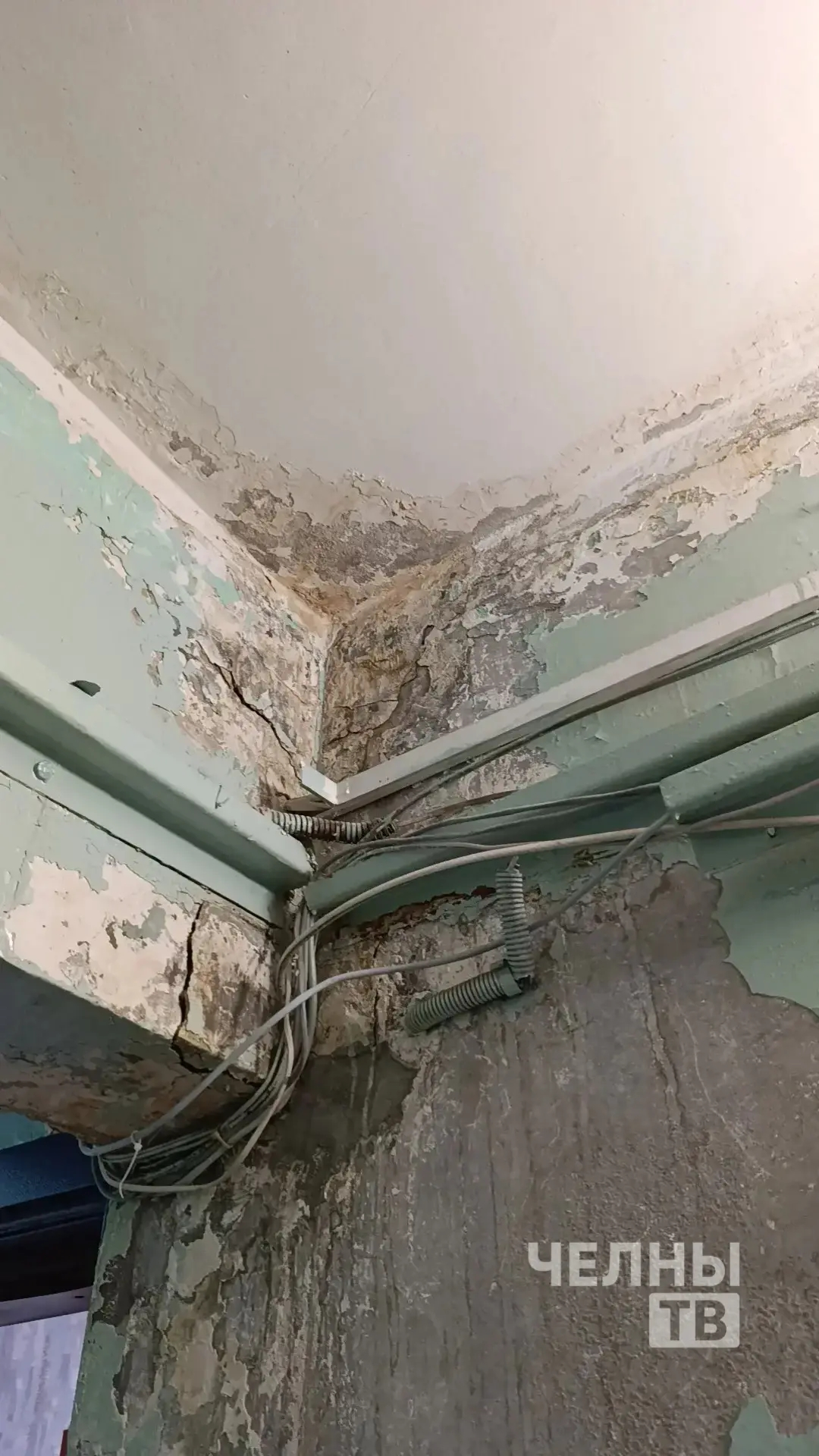 Жители Нового города жалуются на протекающую кровлю и плесень в доме
