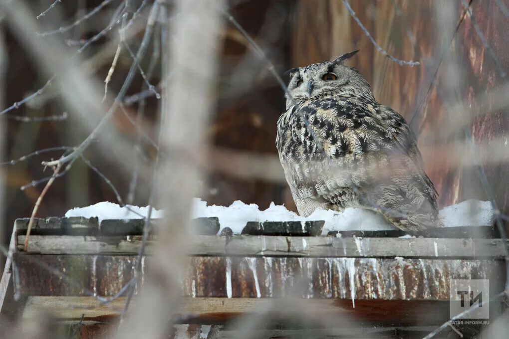 Прогноз погоды в Набережных Челнах на 20 марта