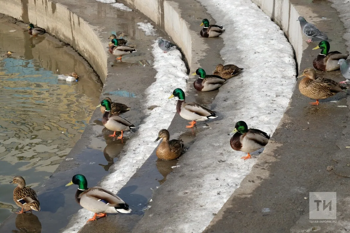 Прогноз погоды в Набережных Челнах на 24 марта