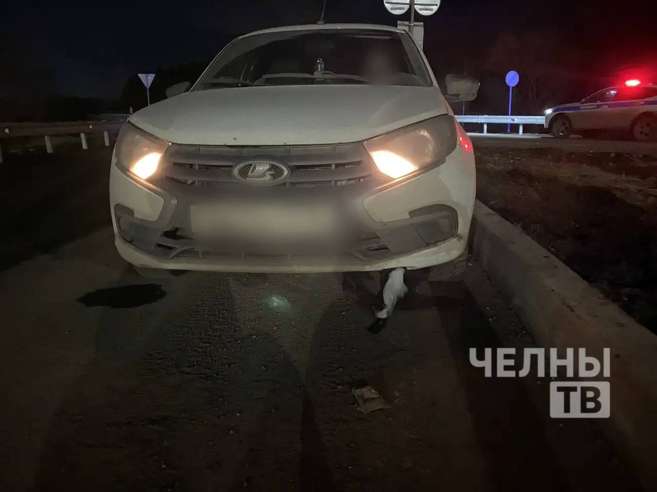 Под Челнами водитель сбил лежащего на дороге пешехода