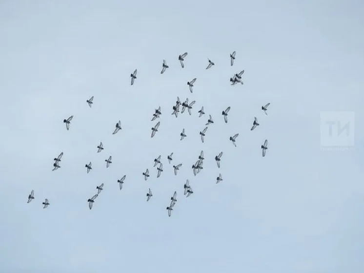 Прогноз погоды в Набережных Челнах на 1 апреля