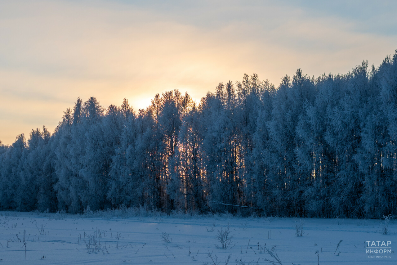 Прогноз погоды в Набережных Челнах на 9 марта