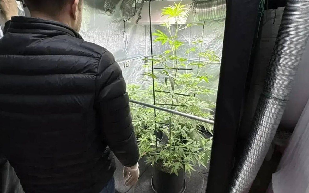 У жителя Казани изъяли 4 килограмма запрещенных веществ