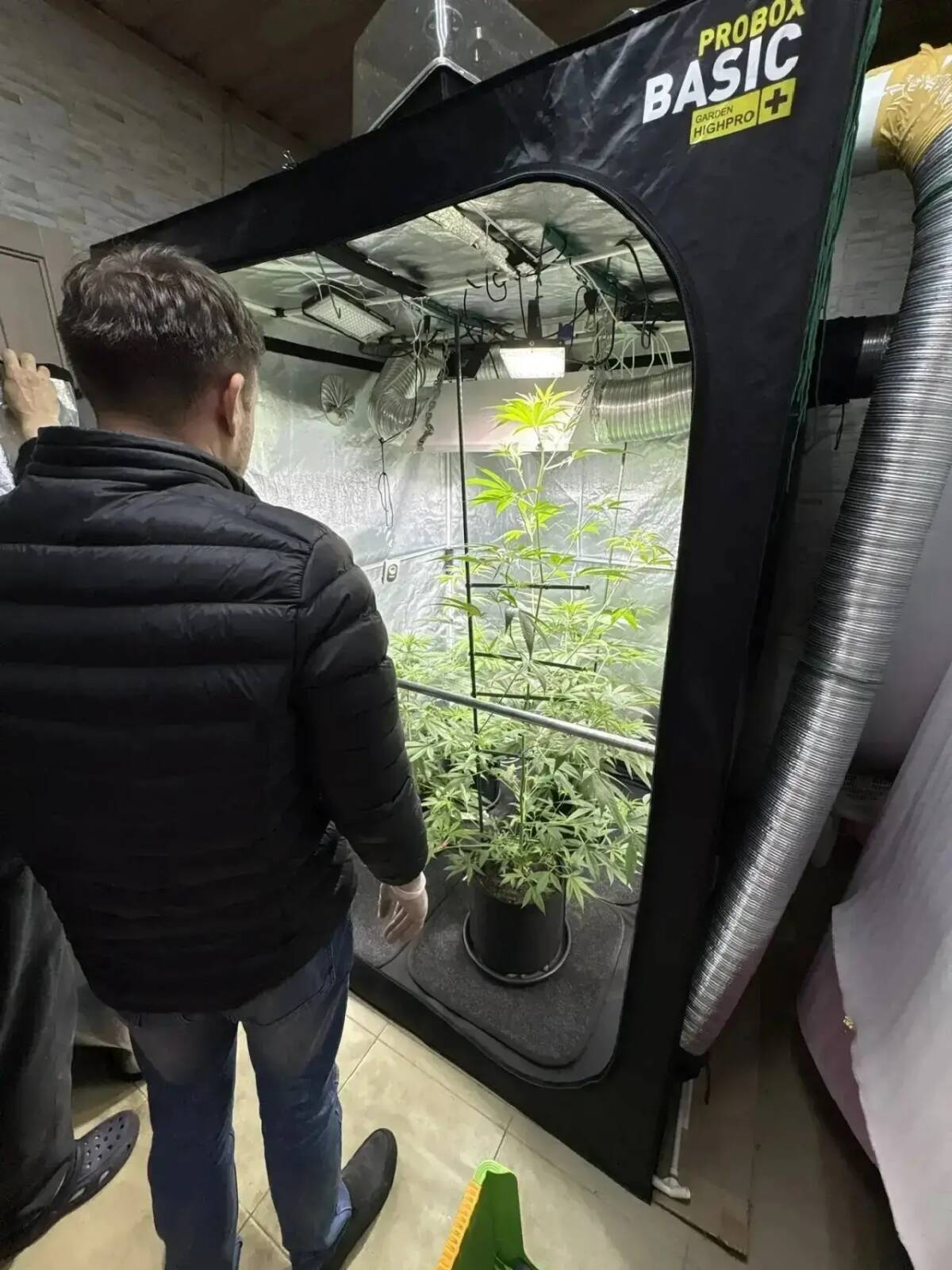 У жителя Казани изъяли 4 килограмма запрещенных веществ