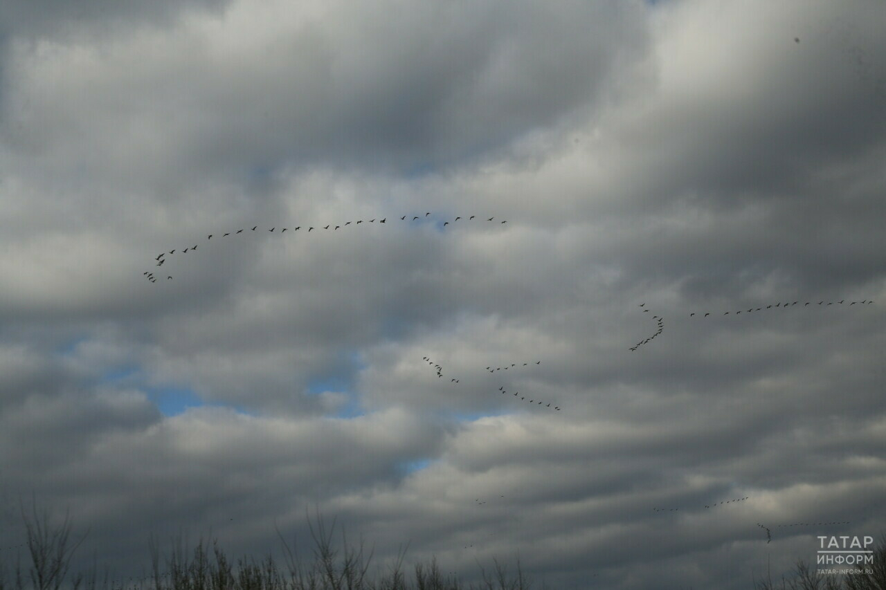 Прогноз погоды в Набережных Челнах на 13 апреля