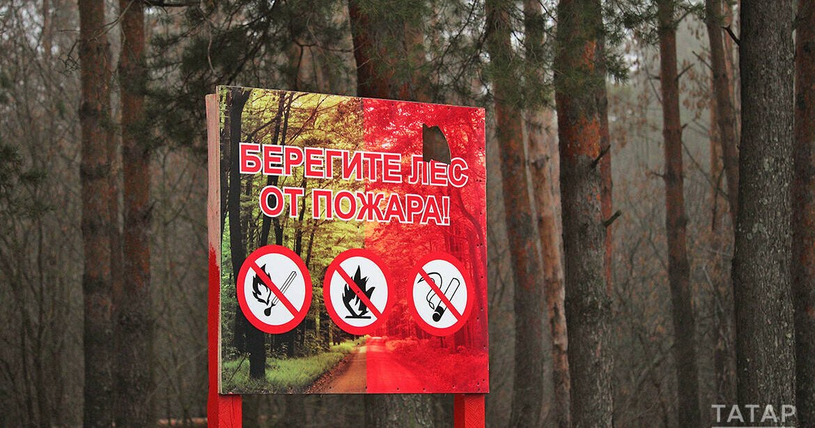 В Татарстане пожароопасный сезон в лесах начнется 15 апреля
