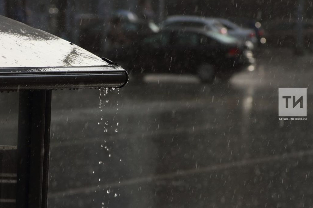 МЧС предупредило о тумане и сильном дожде в Татарстане