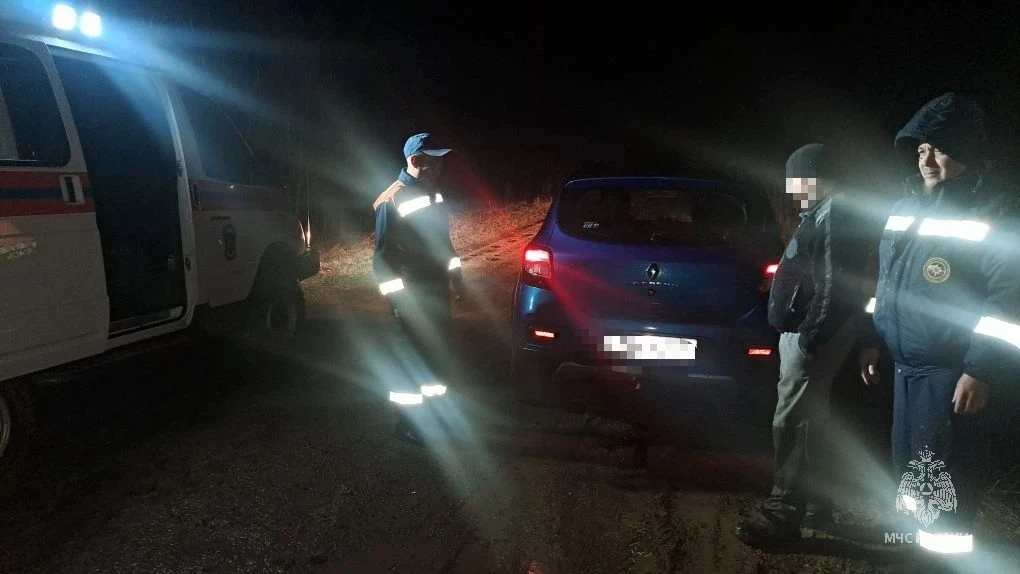 В Татарстане спасли мужчину, заблудившегося в лесу под Мамадышем