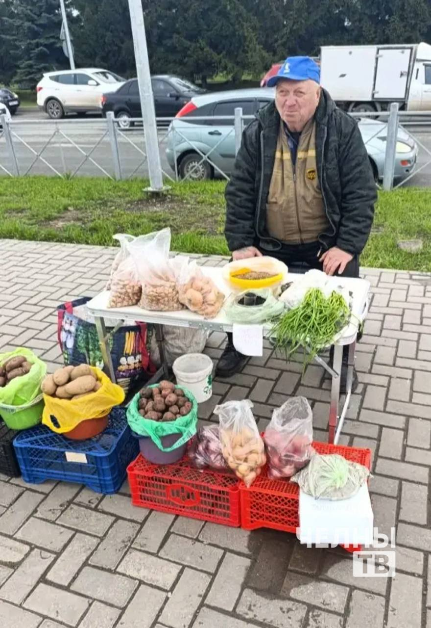 В Челнах начались продажи саженцев на стихийных рынках