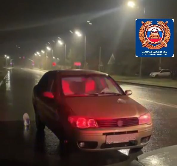 В Челнах задержали пьяного водителя благодаря Telegram-каналу