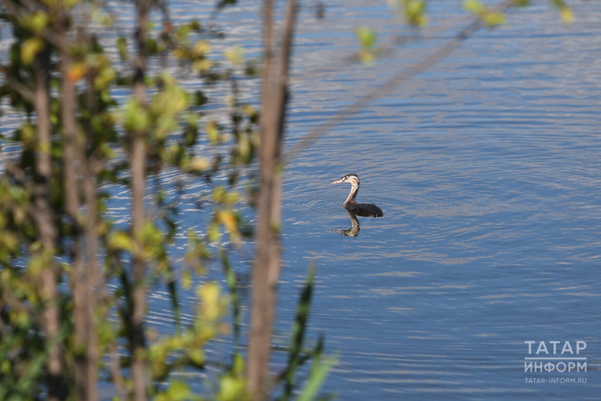 Прогноз погоды в Набережных Челнах на 30 апреля