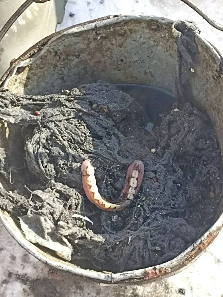 В канализации Челнов нашли челюсть и другие неожиданные предметы