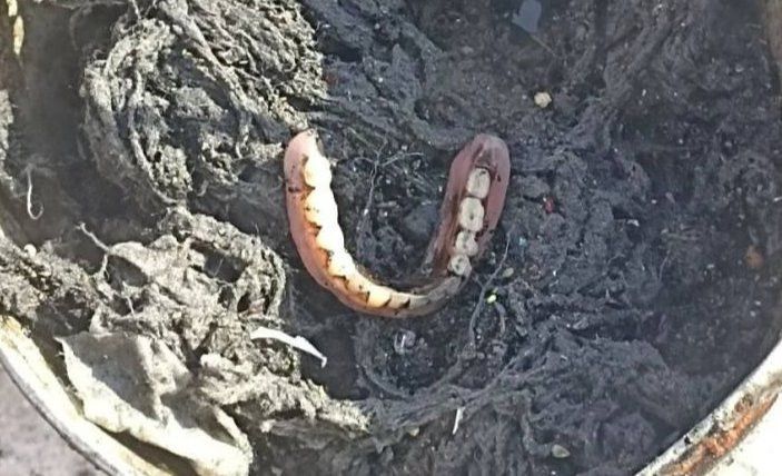 В канализации Челнов нашли челюсть и другие неожиданные предметы