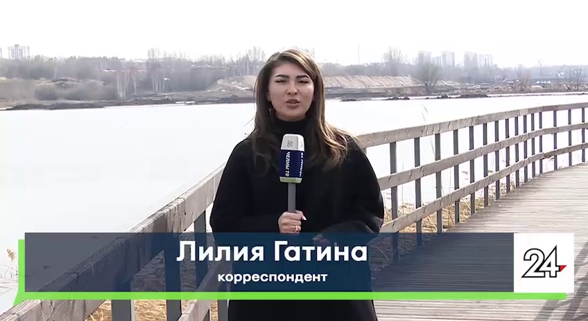 Беременная челнинка едва не погибла, спасая собаку из-подо льда