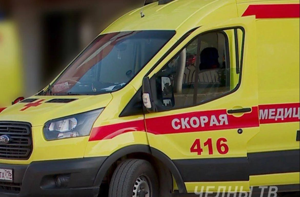 Минздрав рассказал о состоянии девочки после нападения бультерьера