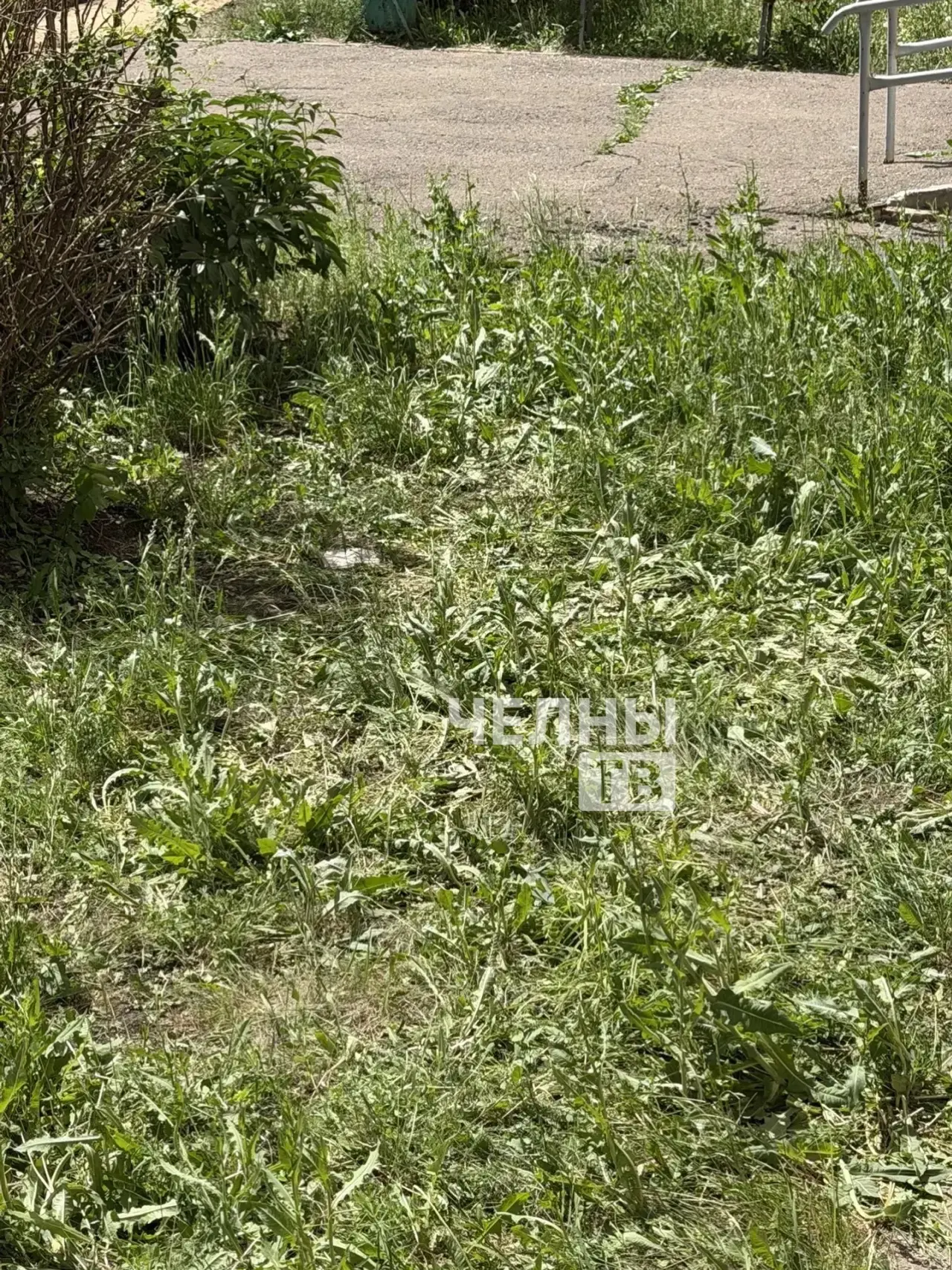 В Челнах девочка погибла после падения из окна