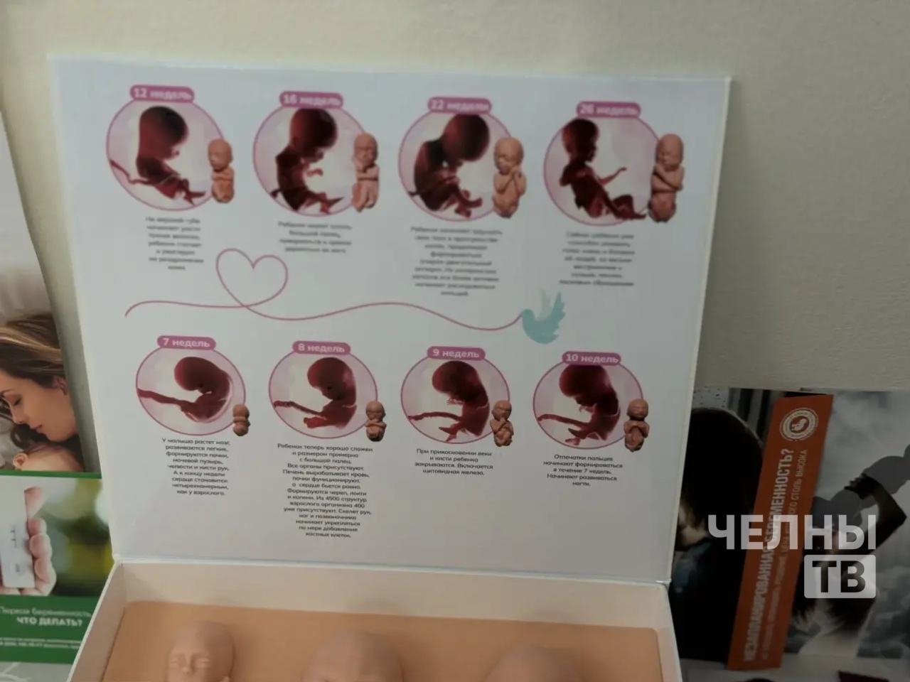 В Челнах отметили Международный день акушерки