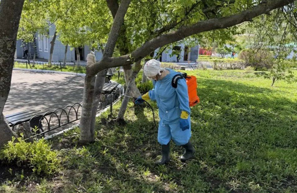 В Челнах начали противоклещевую обработку парков и скверов
